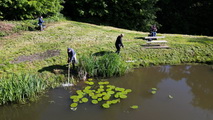 Bild "Fotogalerie/Arbeitseinsaetze:20250517_AE-Bastteich.jpg"